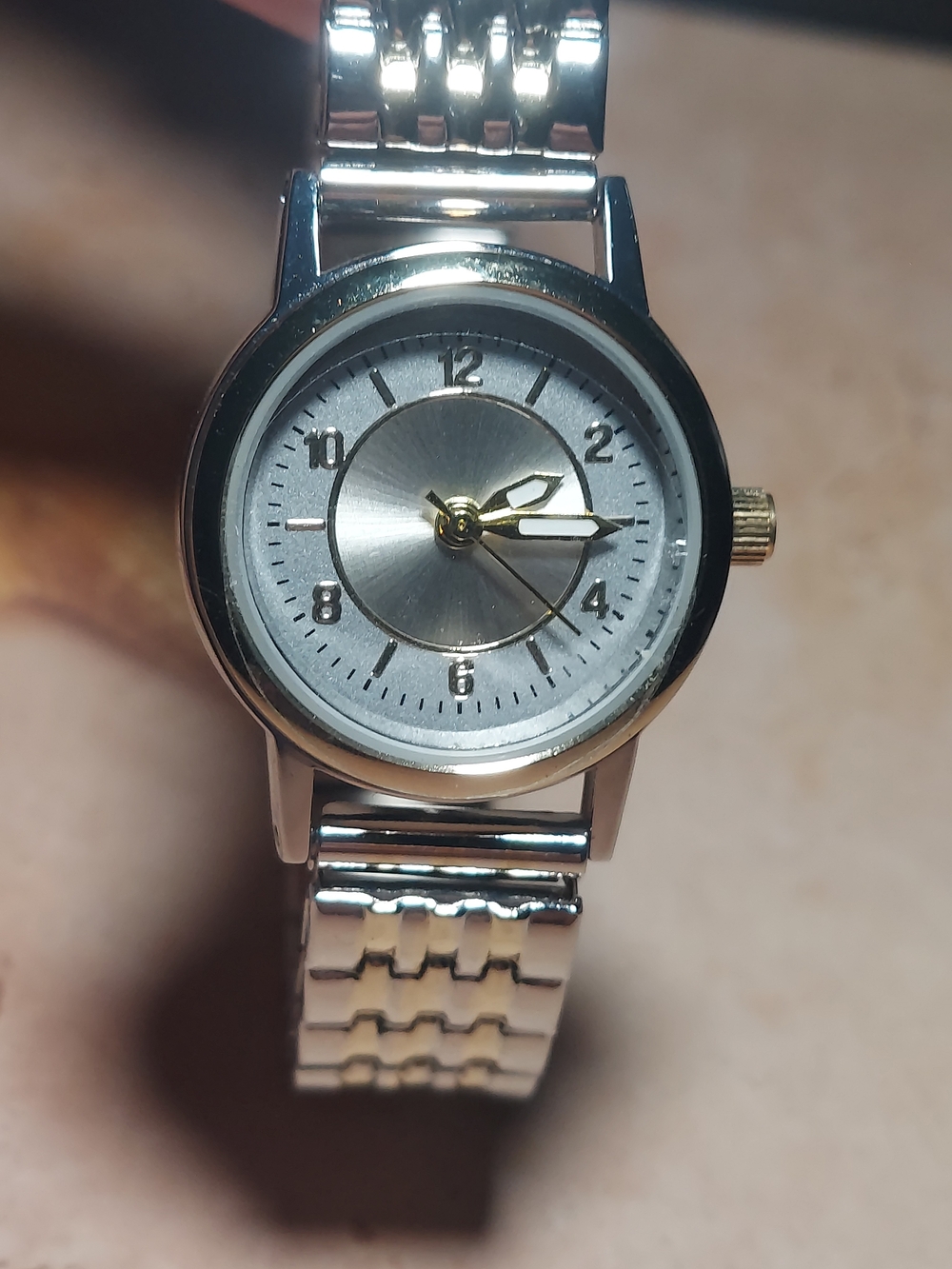 Silver and Gold Stainless Steel Women's Analog Watch